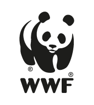 digital-marketing-officer